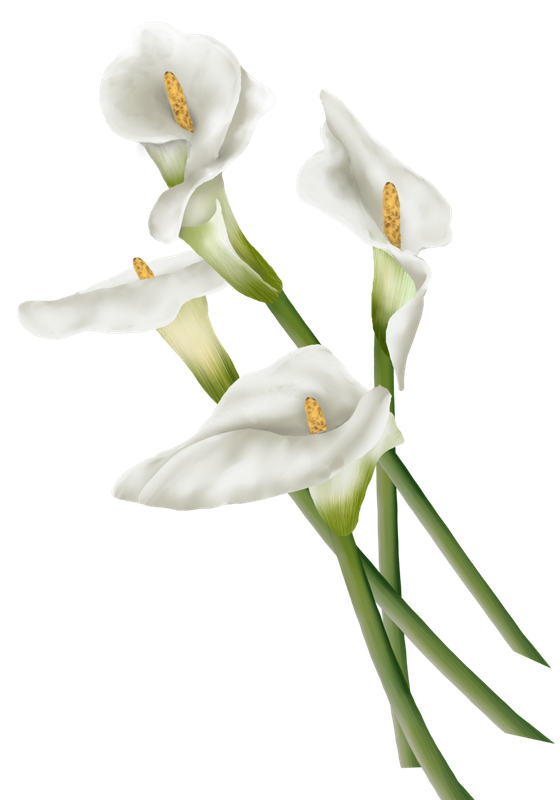 BIBI-PINK ANGEL ELEMS (19)