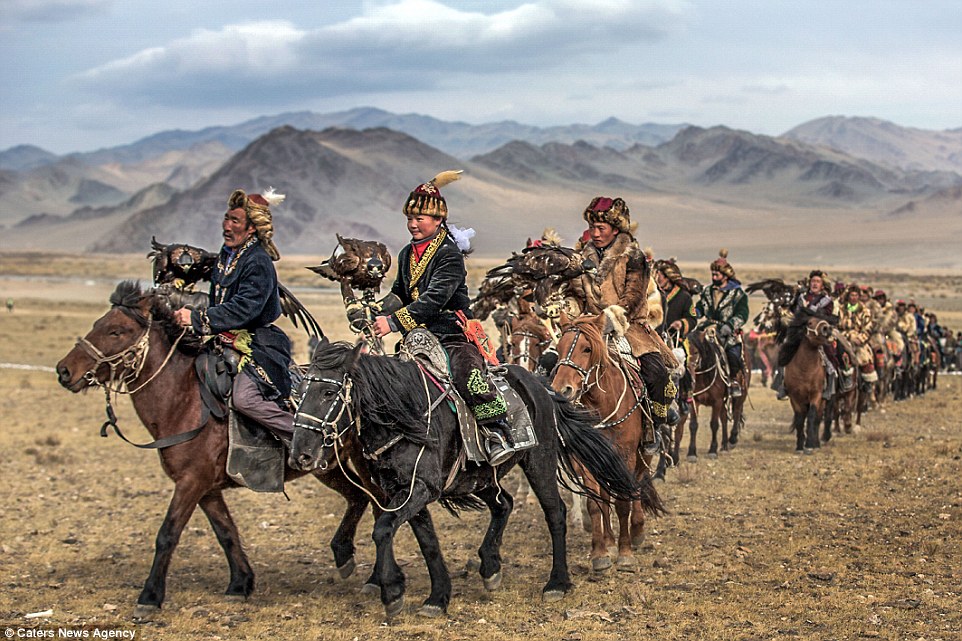 Mongolian Safety Horse Lineup