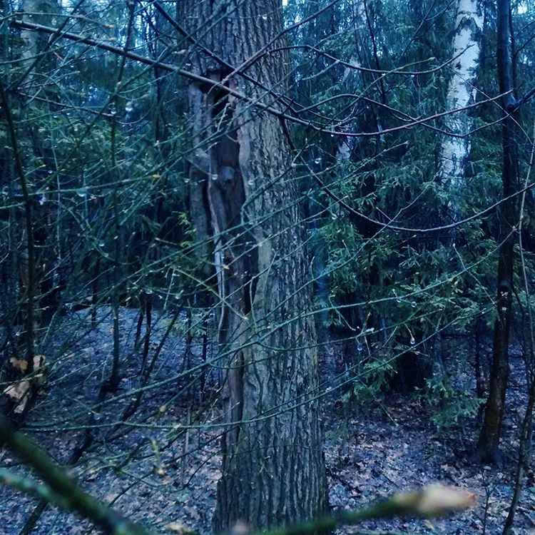 ig7ODREu-nV8psSXOixROMC_u0qL9hqWsBQoXIvYSNmLjBLxMsHu1rKZ6-7EQ8CdenLI2WaT