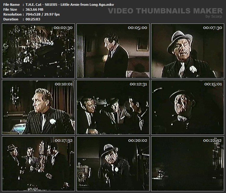 T.H.E. Cat - S01E05 - Little Arnie from Long Ago.mkv
