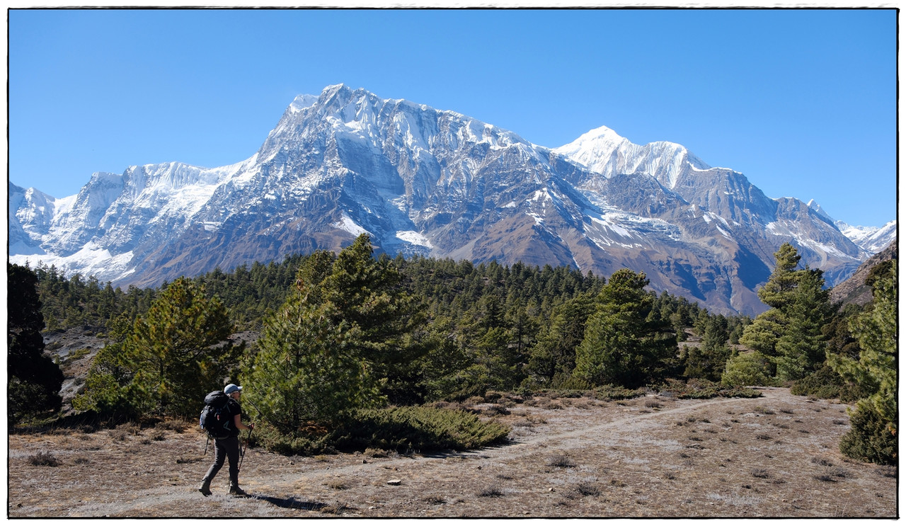 AC día 4: Ngawal (3675 m) a Bhraka (3500 m) - Trekking en Nepal: Annapurna Circuit y Mardi Himal (16)