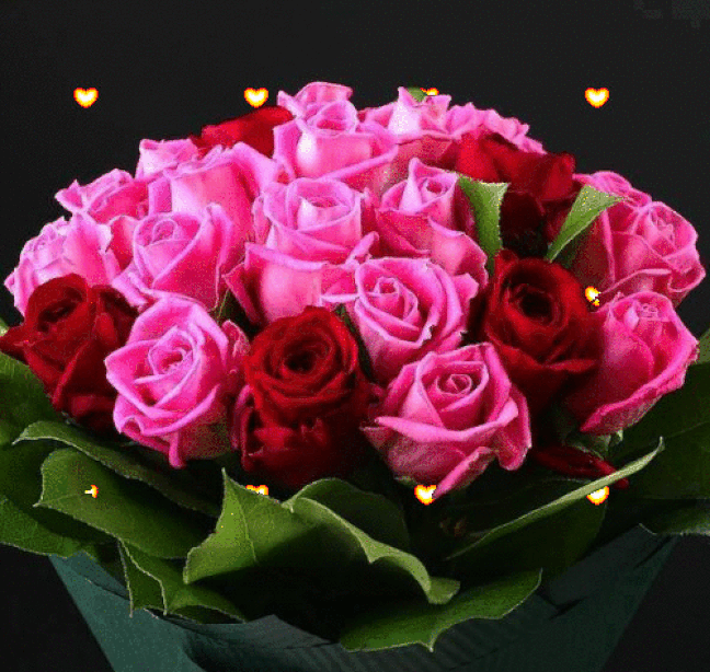 An den Beitrag angehängtes Bild: https://i.postimg.cc/wxhkptns/oie-258374Vp3m-Cf4a.gif