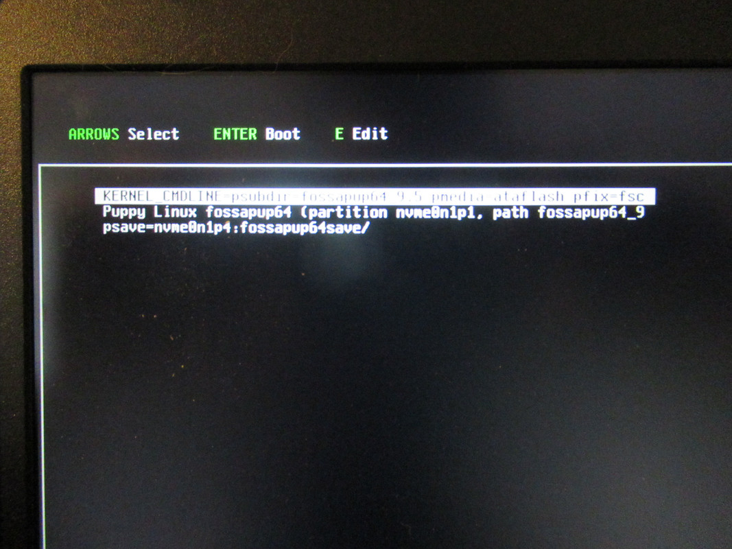 Puppy boot menu for nvme0n1p4 boot.png