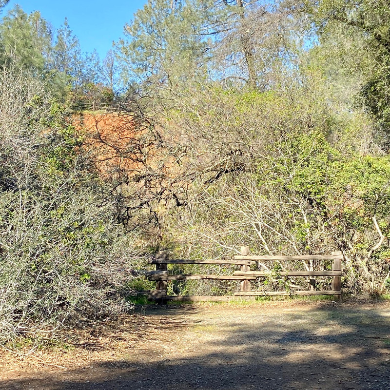 187A34C4-634B-4529-A2C7-46C4F50276E7