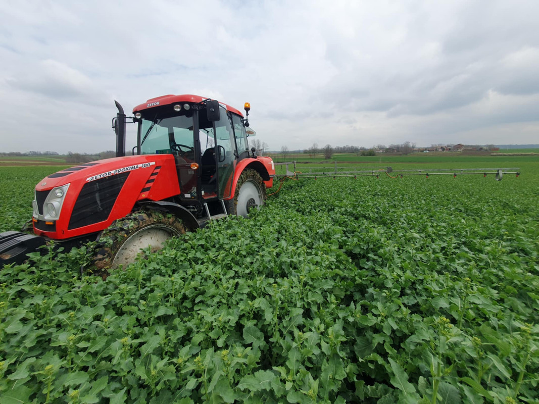 Messenger_creation_718DBE16-952A-42B9-9DE6-6B6716BE4F3E