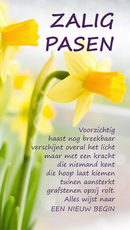 4ceb97cd136ba847b4fb73e81dd07363