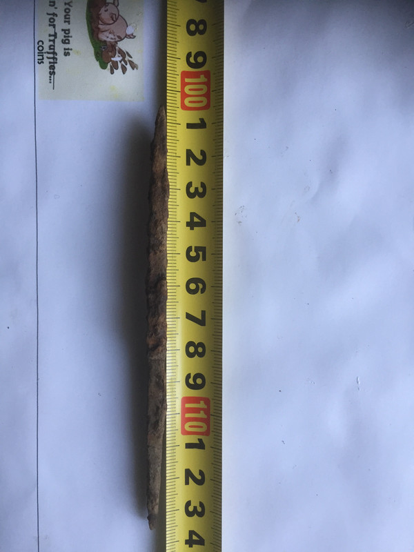 DC8A829A-4FC0-461A-B6CF-C9865E6C8A40