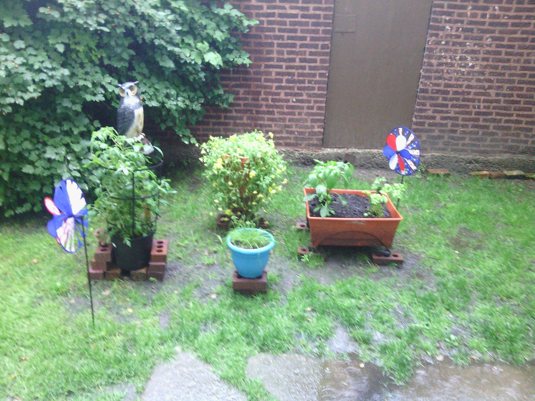 IMG-20150716-183745.jpg