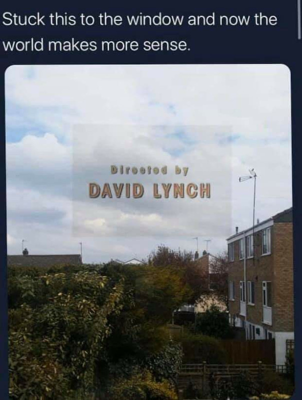 lynch.jpg