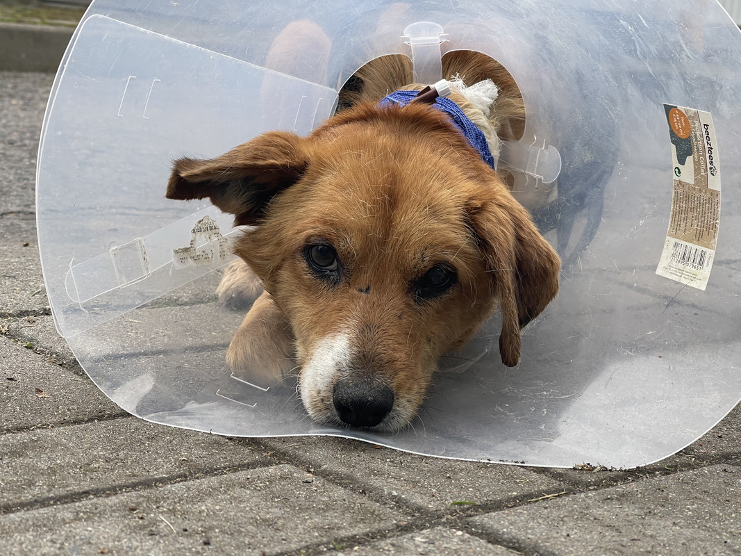 DCB93868-8253-46A9-A18A-EDF633A8F599