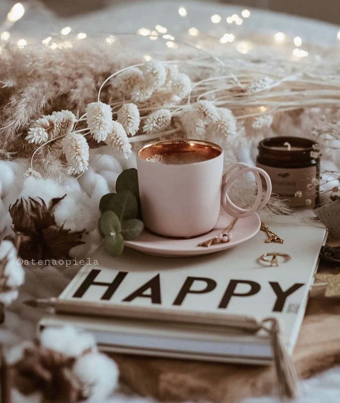 Screenshot_20231210_175119_Instagram