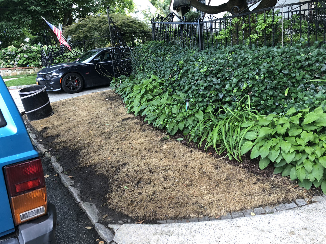 48E51464-496F-4938-9AC3-ED04DF42FC9C