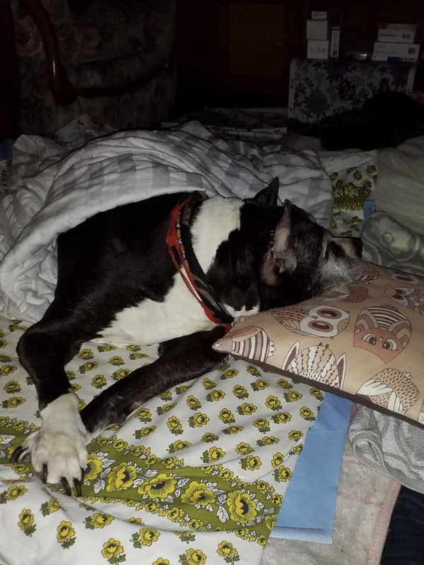 81A2910F-7722-477F-A902-19BADC5D2CE4