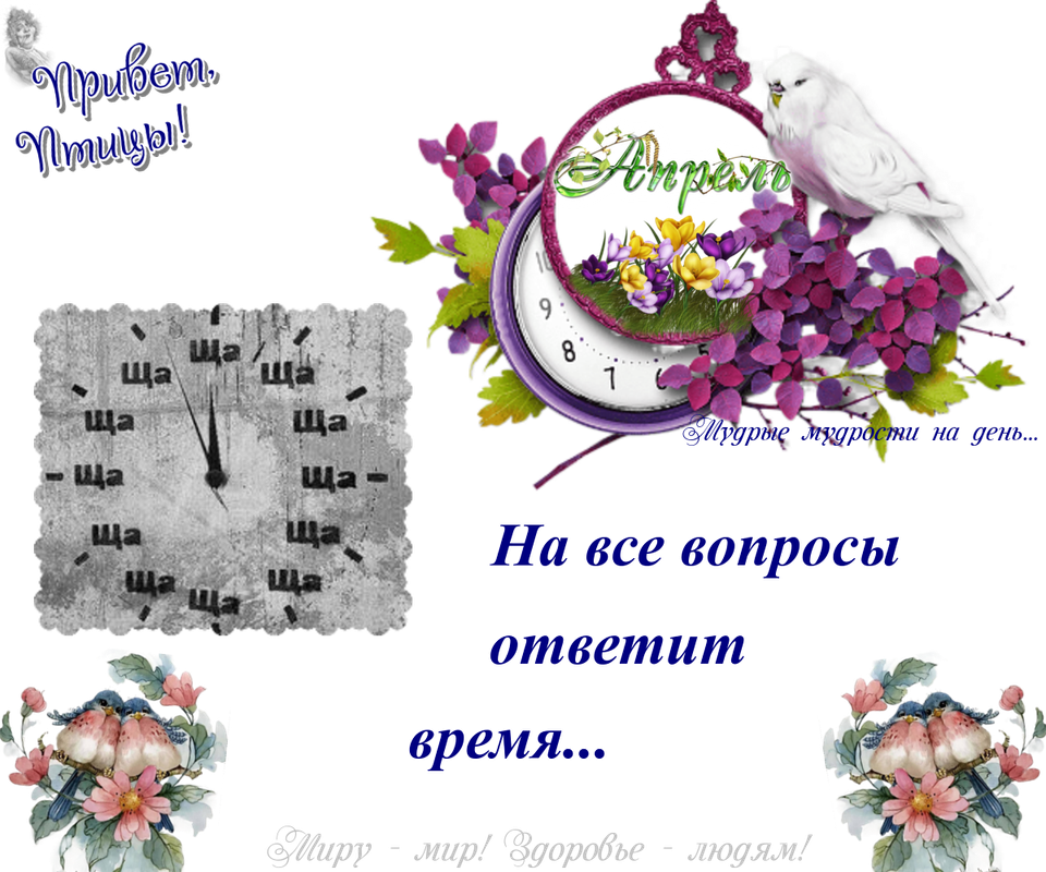 https://i.postimg.cc/wxmwxT7C/05-04.png