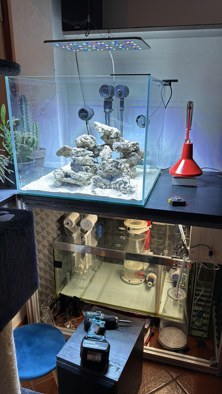 74B45818-8A20-4492-A898-AB2912799DB1