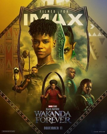 1675263686-black-panther-wakanda-forever-951268807-large.jpg