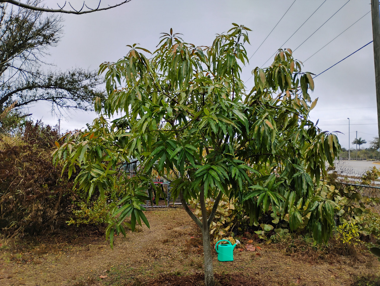 IMG 20260205 104342834 HDR