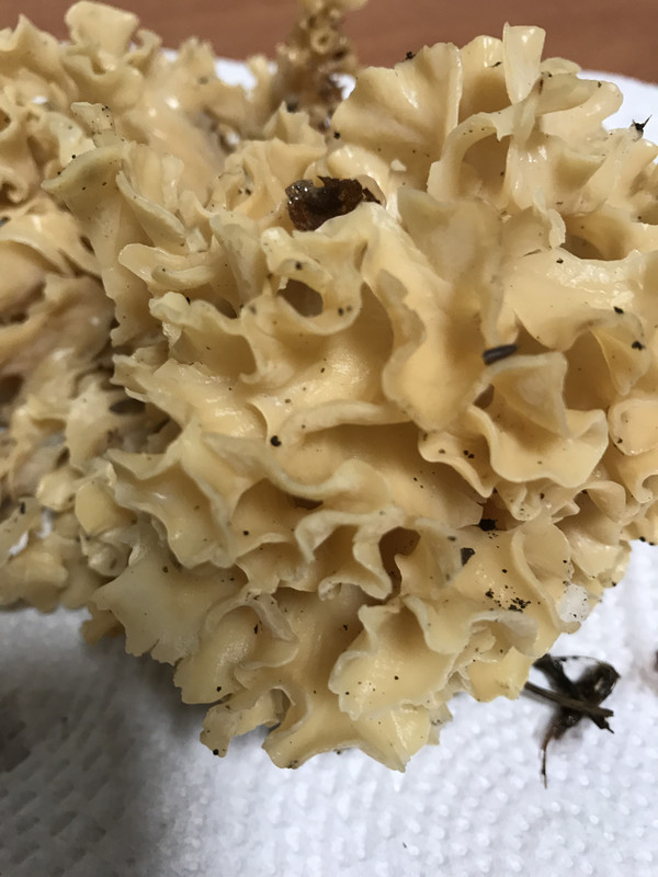 BC158382-AC47-4AC4-B750-30008019283C