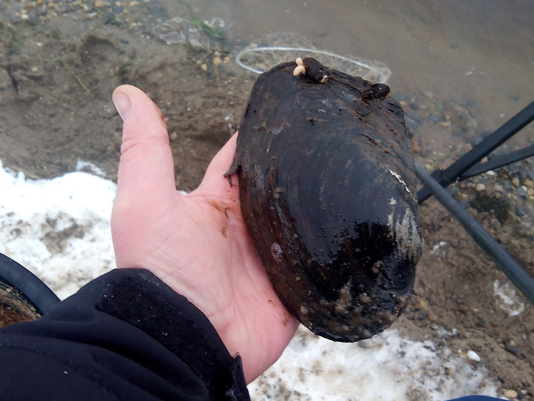 Добрянка 13.01.15-4