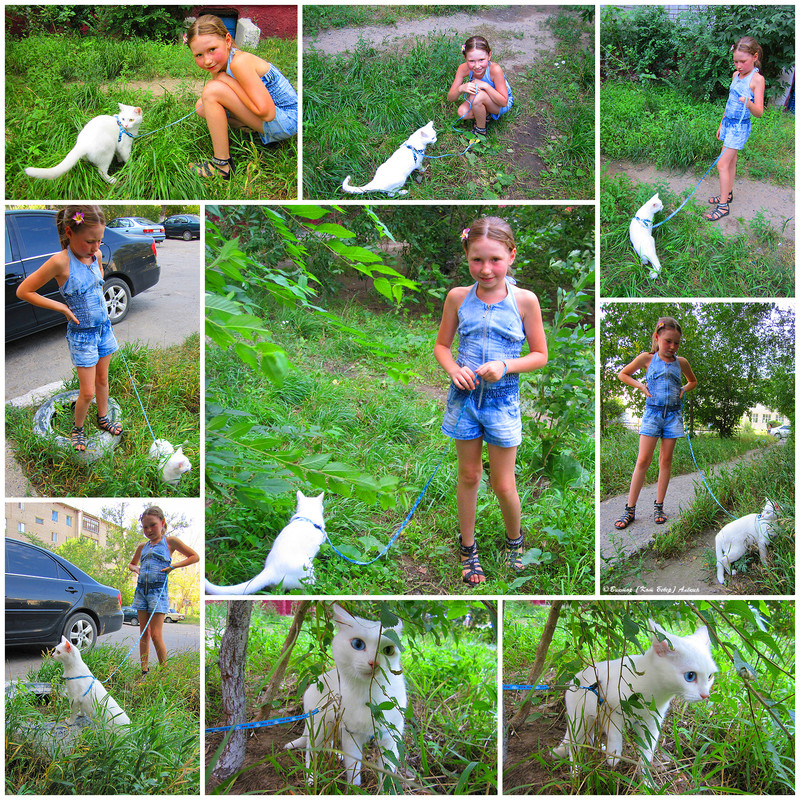 белоснежка 1640-2 - 09