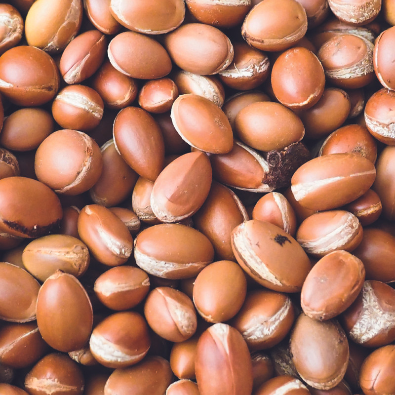 Granulés de Coquille d'Argan - Ingrédients Cosmétiques Naturels du Maroc