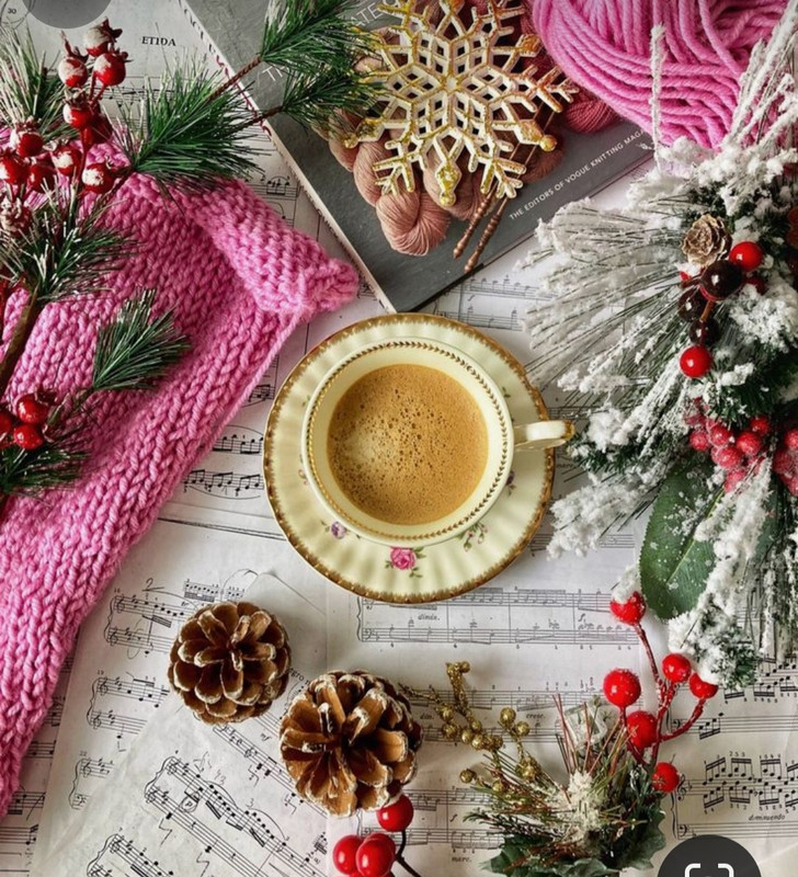 Screenshot_20231109_233224_Pinterest