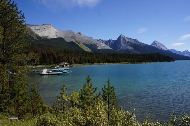 Día 6: Jasper y alrededores - Vancouver y Rocosas Low Cost: Dos semanas por lo mejor de Canadá (4)