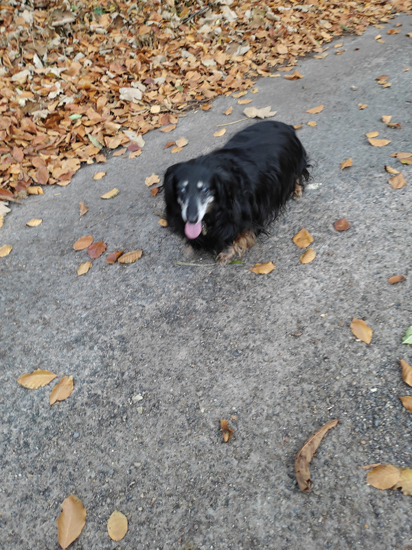 [Image: IMG-20211119-155320.jpg]