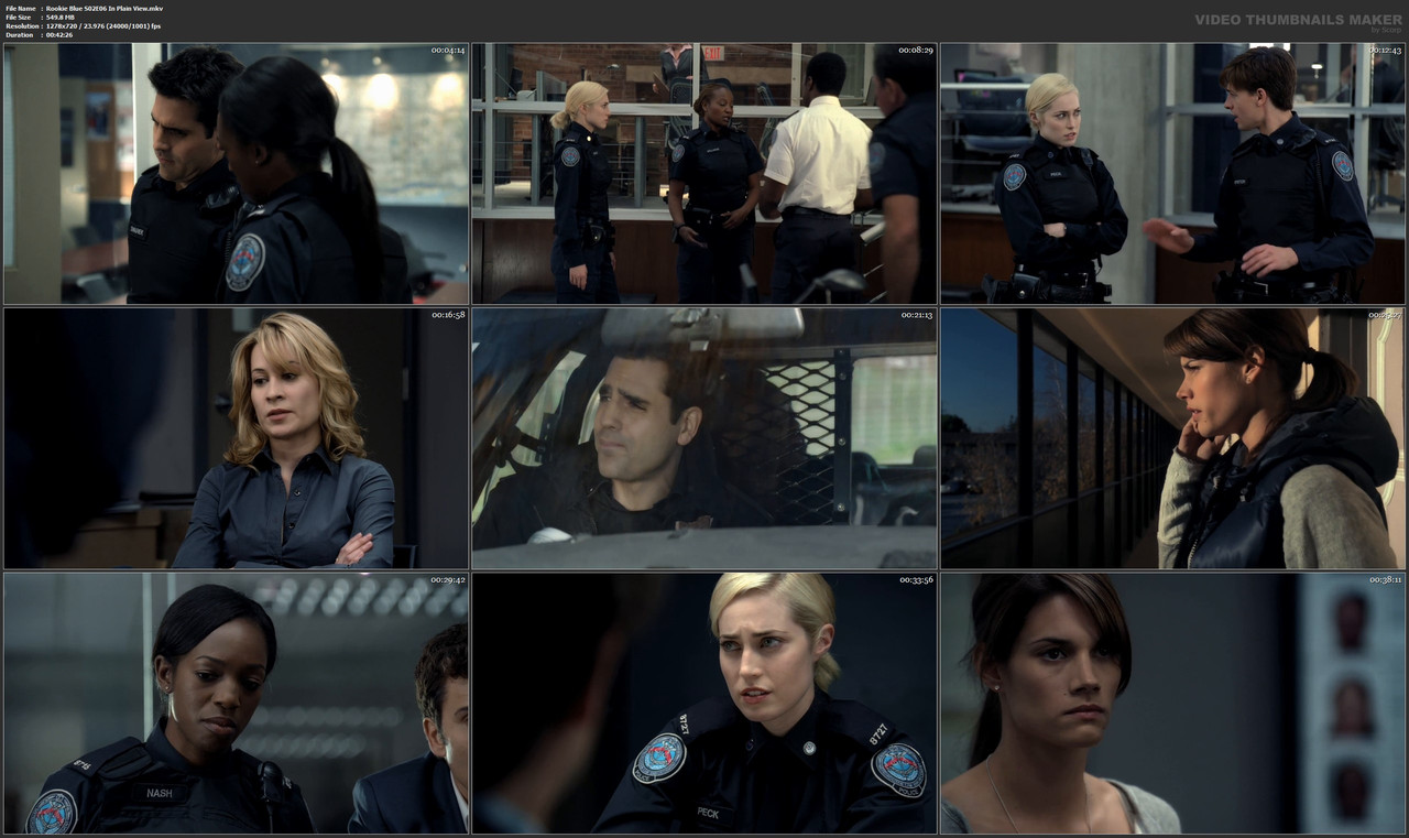 Rookie Blue S02E06 In Plain View.mkv