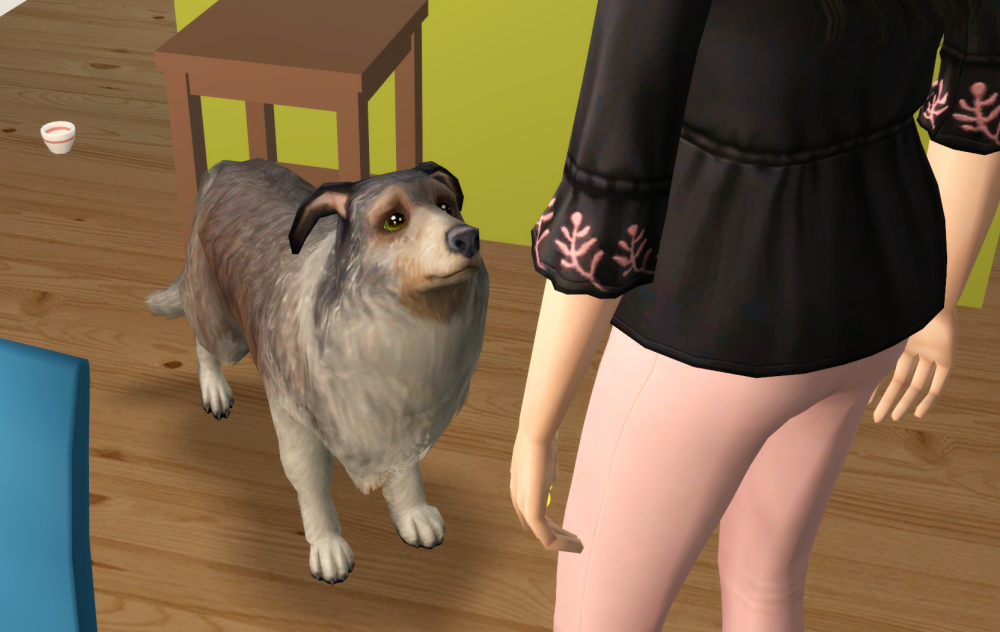 Sims2-EP9-RPC-2021-06-29-19-51-33-55