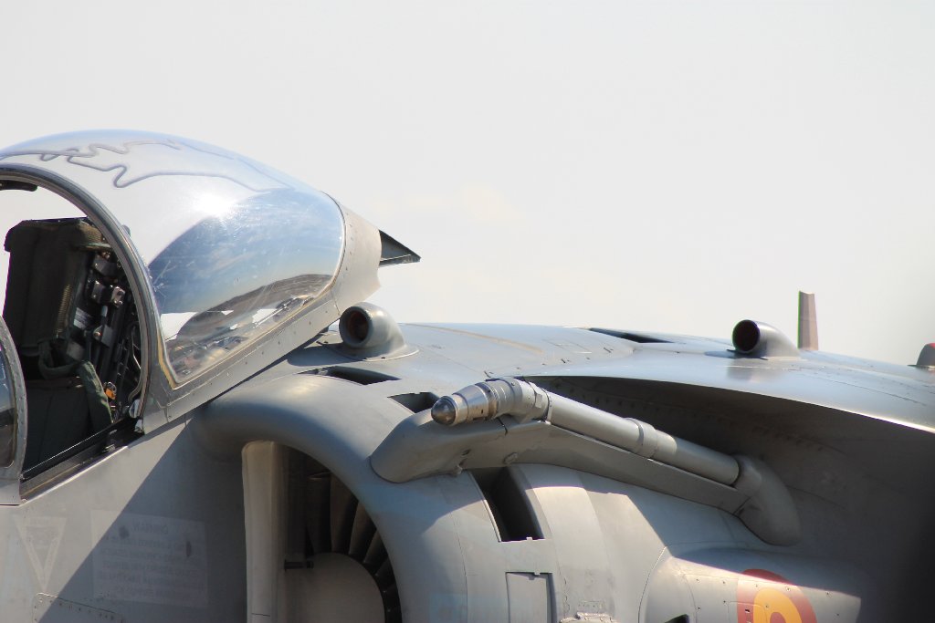 Harrier AV8 B plus II de la Armada de España IMG-6818