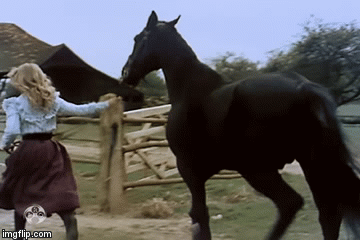 ���� ���� ������ �� ���� ������