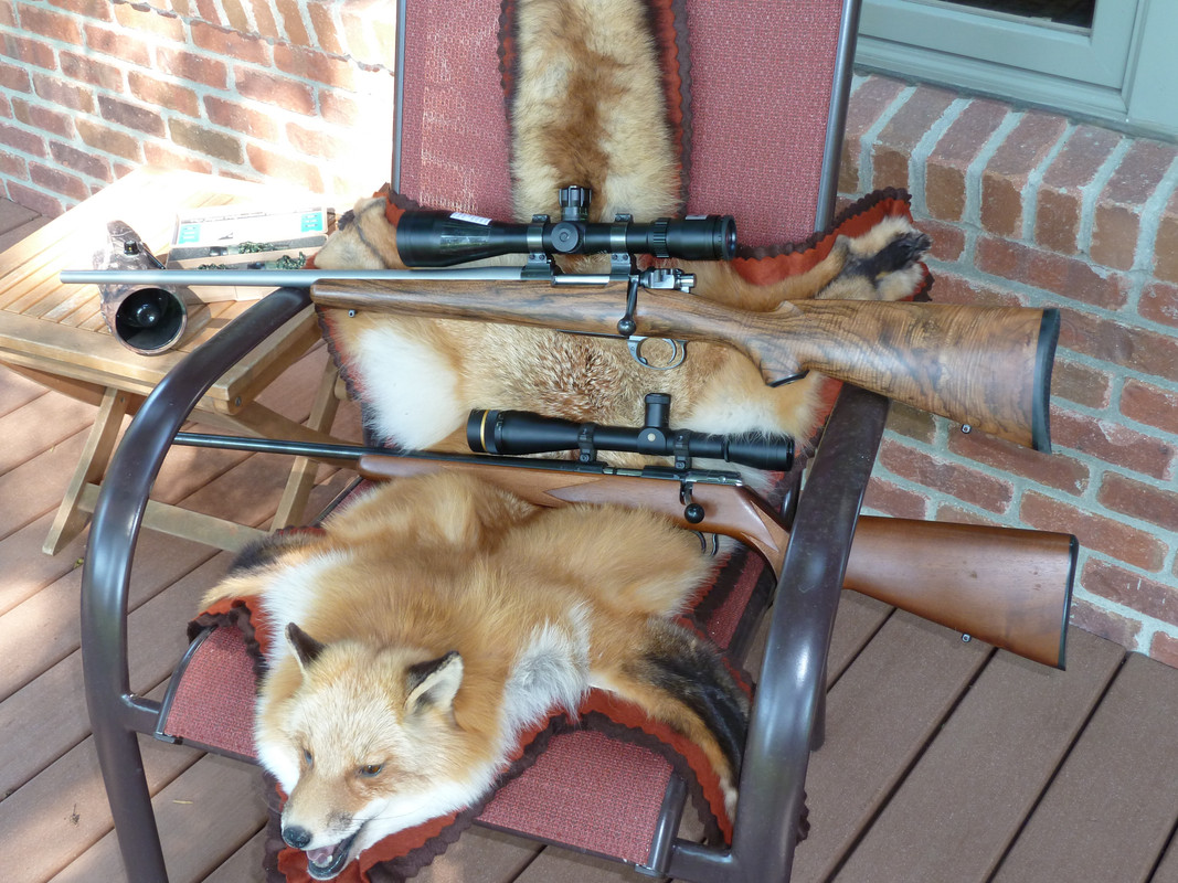 F34186F0-67C7-4A80-803A-A8605A045C64