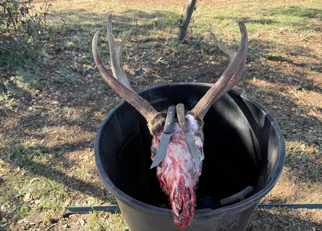 Screen Shot 2025-07-23 at 8.27.42 AM