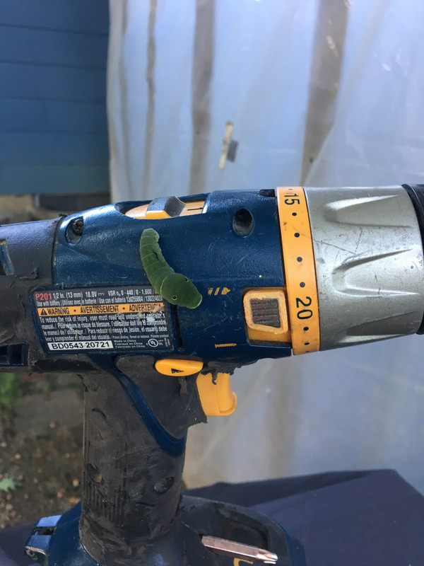 58898071966__DAD8A5CC-8F99-4F74-94E9-125CC2DBE654