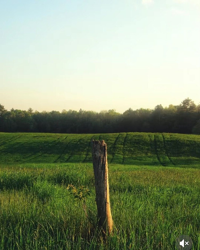 photo 23 2026 01 16 22 06 21