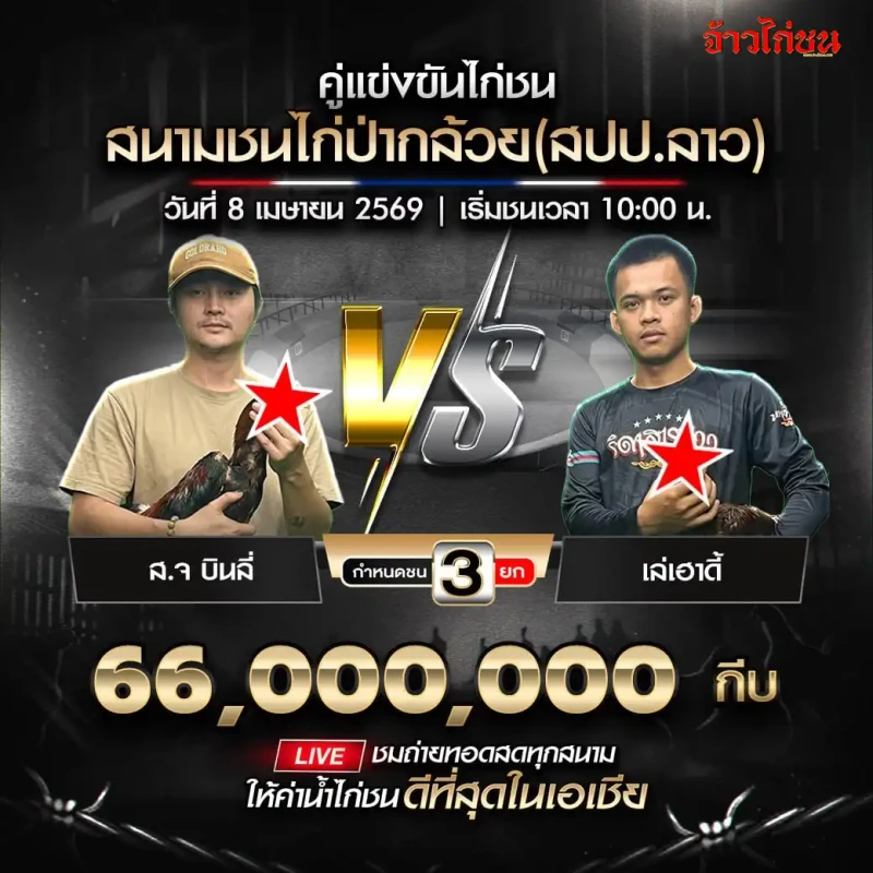 โปรแกรมไก่ชน สนามชนไก่ป่ากล้วย วันที่ 8 เมษายน 2569 ส.จ บินลี่ vs เล่เฮาดี้