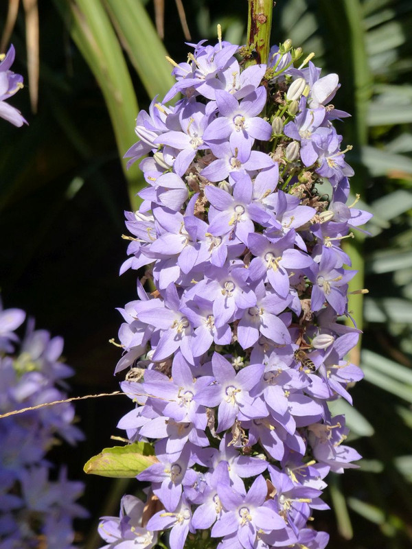 P1240366