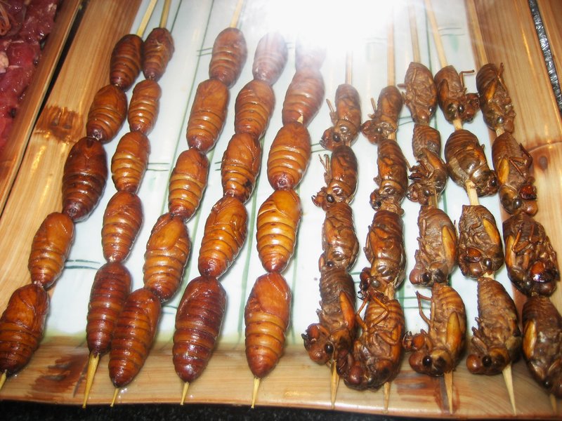 Mercado Wangfujing de insectos-2-8-2007 - China y sus pueblos-2007 (7)