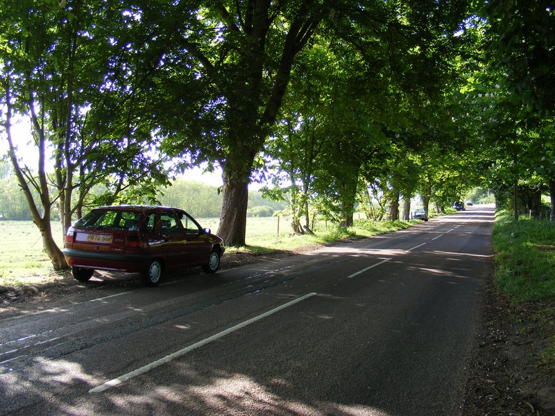 DSCF0364.jpg