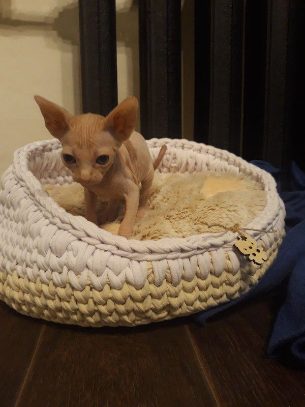 DC0584D1-D836-4B55-B108-92F11CA12BEC