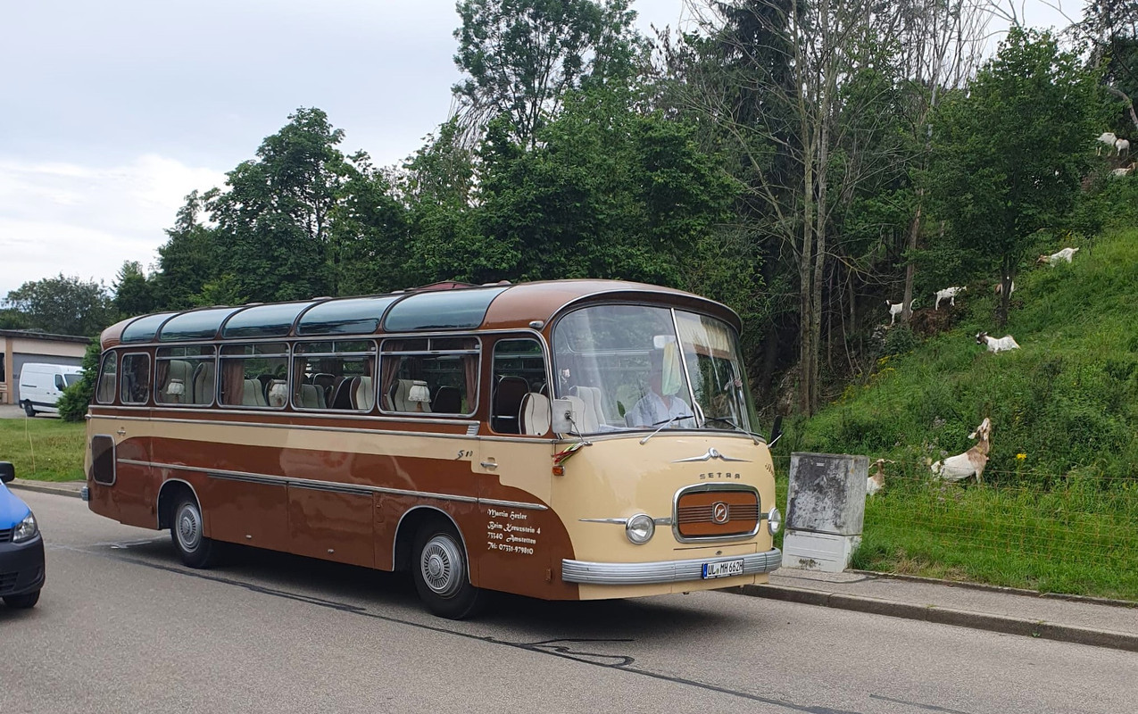 busp (2)
