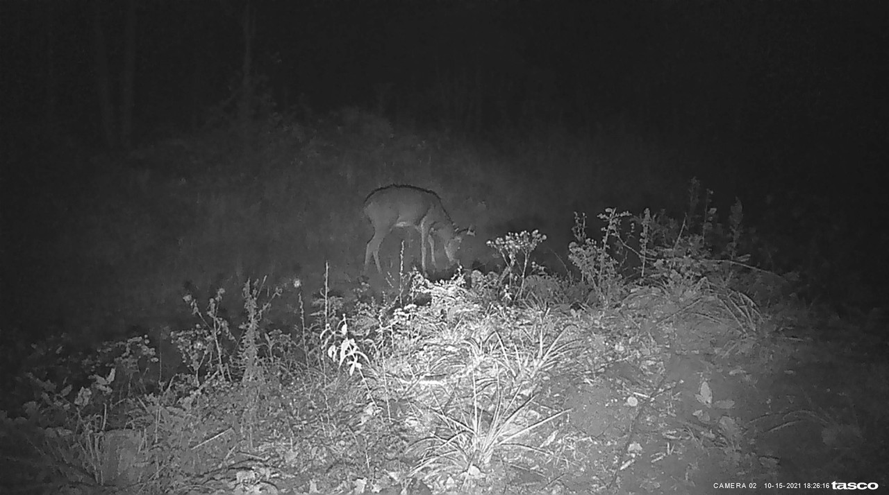 31F0D189-1EEE-4D46-B76B-E4E7153E5493