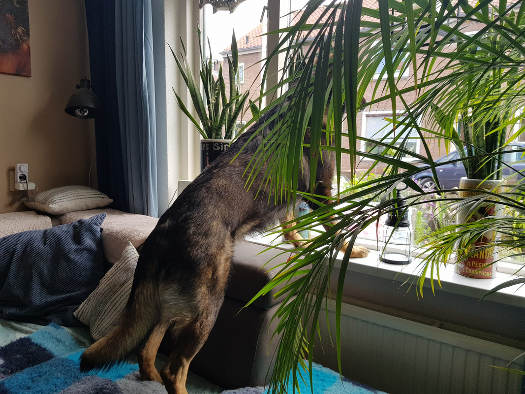 287601613_5321042264620535_532228115203289874_n