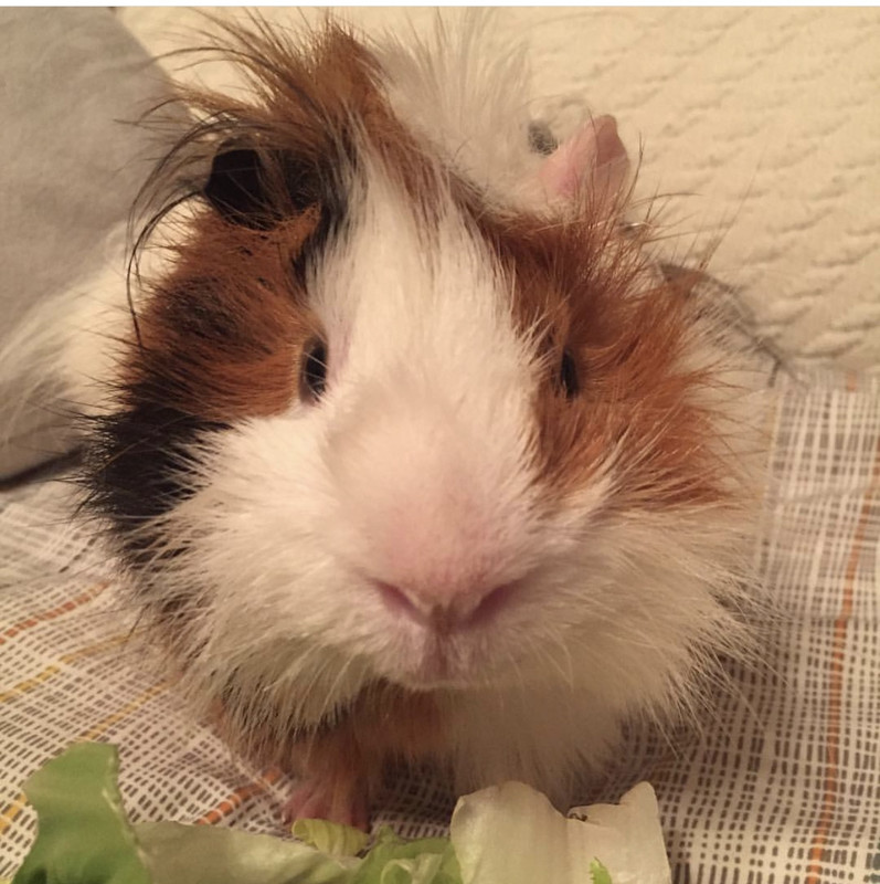 B0BEF4A4-C560-48A9-8ECF-E4CF8322C33A