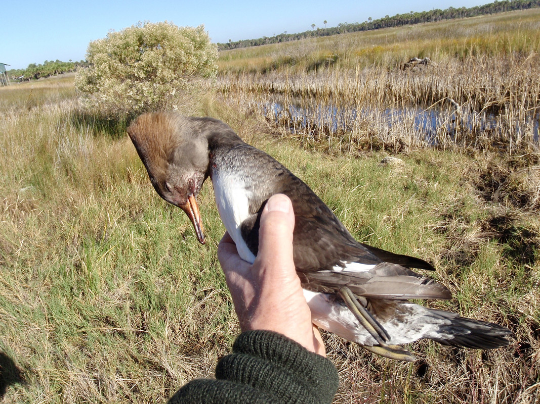 D72F17A4-5FC2-4373-8F24-E95CF1115F46