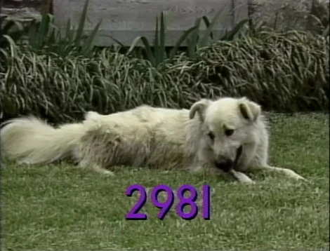 Episode-2981.webp