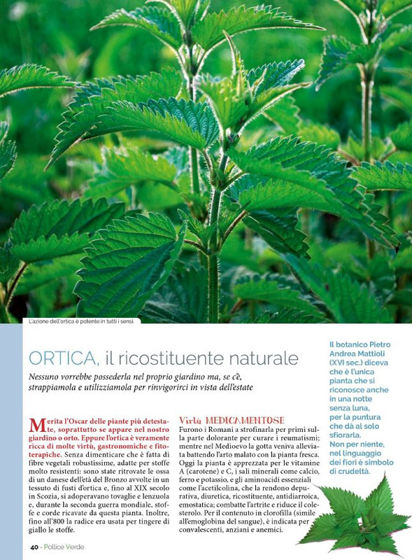 Pol Ver Mar 2023 (5)