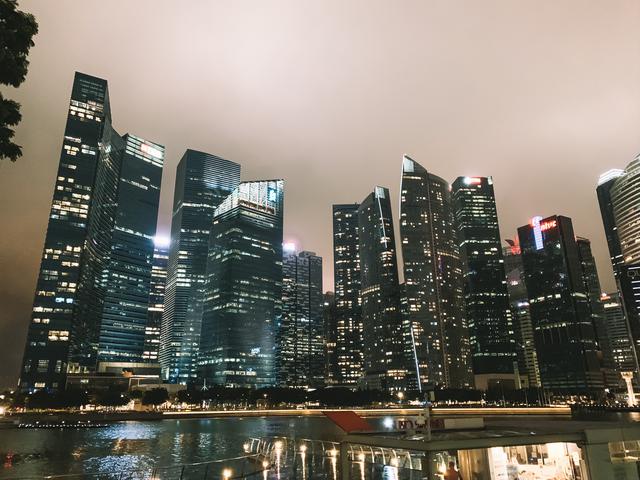 Vuelta a Singapur y fin del viaje. - Singapur e Indonesia 2018 (5)