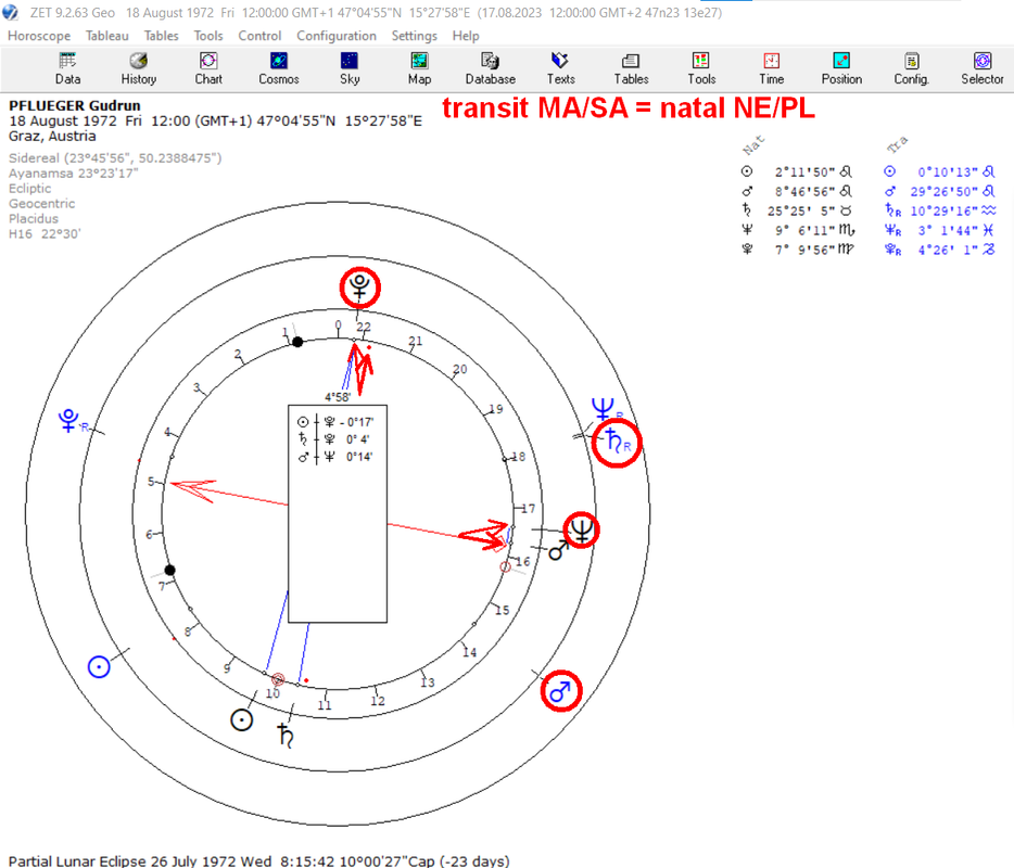 Gudrun-PFLÜGER_transit_H16_DoD